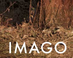 imago-festival-bologna