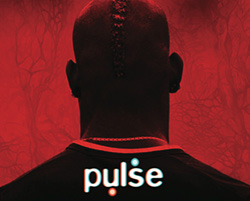 pulse-festival-2014 list01