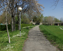 conoscere-alberi-parchi-bologna-Parco-dei-Noci-Ivan-Bisetti-list