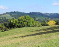 le-colline-fuori-della-porta 2017 list01