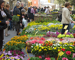 bologna-in-fiore-2017-list